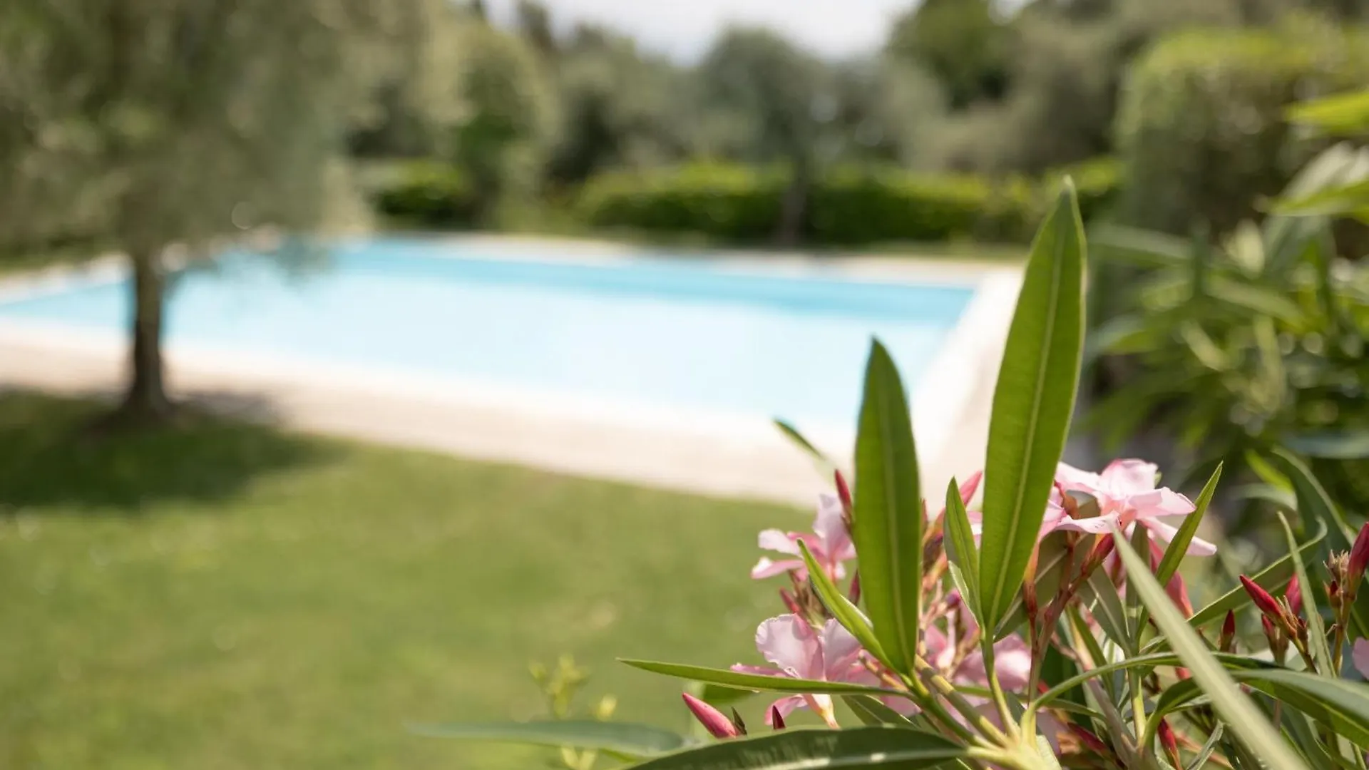 Apartment Lorry Living - Toscolano Maderno